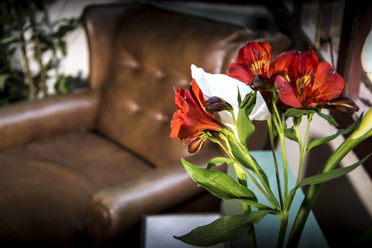 York Vintage Bed & Breakfast La Paz Bagian luar foto